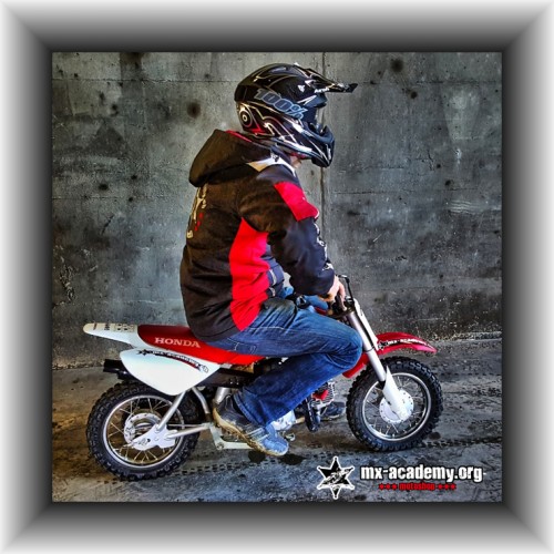 Pit Bike CRF 50