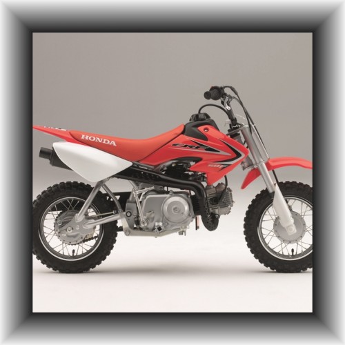 Pit Bike CRF 50